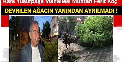 Muhtar devrilen ağacın yanından ayrılmadı