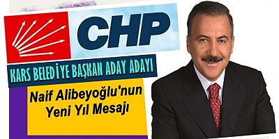 Naif Alibeyoğlu'nun Yeni Yıl Mesajı