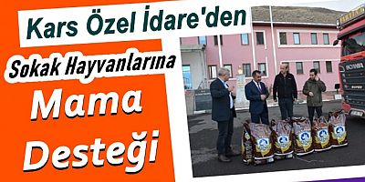 Özel İdareden sokak hayvanlarına mama desteği