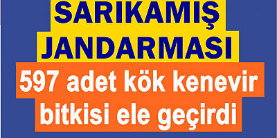 SARIKAMIŞ JANDARMASI 597 ADET KENEVİR ELE GEÇİRDİ