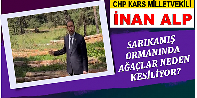 SARIKAMIŞ ORMANINDA AĞAÇLAR NEDEN KESİLİYOR?