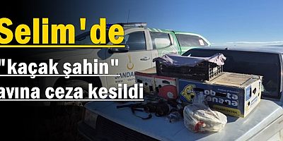Selim'de kaçak şahin avına 1,1 milyon lira ceza