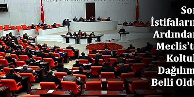 Son İstifaların Ardından Meclis'te Koltuk Dağılımı Belli Oldu