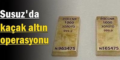 Susuz'da kaçak altın operasyonu
