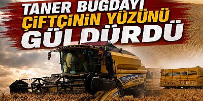 Taner Buğdayı Çiftçinin Yüzünü Güldürdü
