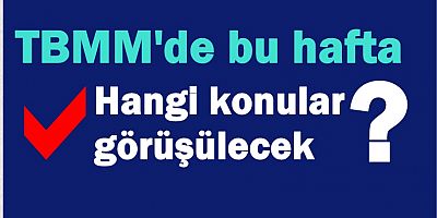TBMM'de bu hafta hangi konular görüşülecek?