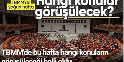 TBMM'de bu hafta hangi konular görüşülecek?