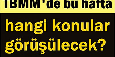 TBMM'de bu hafta hangi konular görüşülecek?
