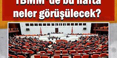 TBMM'de bu hafta neler görüşülecek?