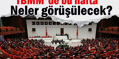 TBMM'de bu hafta neler görüşülecek?