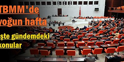 TBMM'de yoğun hafta: İşte gündemdeki konular