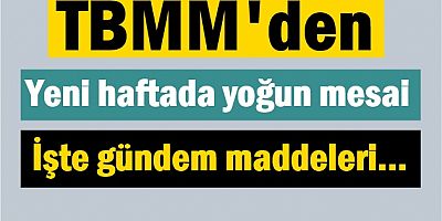 TBMM'den yeni haftada yoğun mesai
