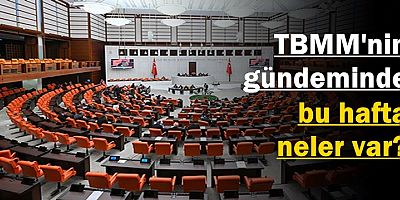 TBMM'nin gündeminde bu hafta neler var?