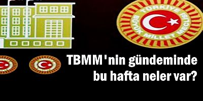 TBMM'nin gündeminde bu hafta neler var?