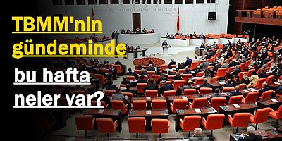 TBMM'nin gündeminde bu hafta neler var?