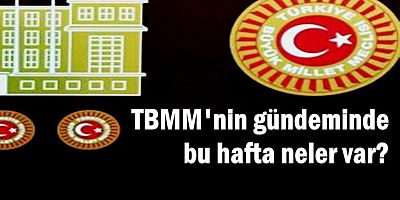 TBMM'nin gündeminde bu hafta neler var?