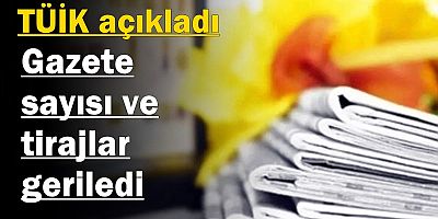 TÜİK verileri: Gazete sayısı ve tirajlar geriledi