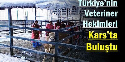 Türkiye’nin Veteriner Hekimleri Kars’ta Buluştu