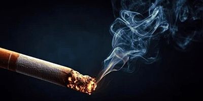 Tütünün Sonu Geliyor Olabilir! 