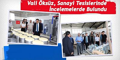 Vali Öksüz, Sanayi Tesislerinde İncelemelerde Bulundu
