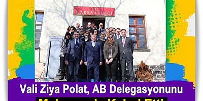 Vali Polat, AB Delegasyonunu Kabul Etti