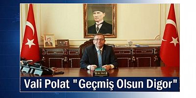 Vali Ziya Polat, 