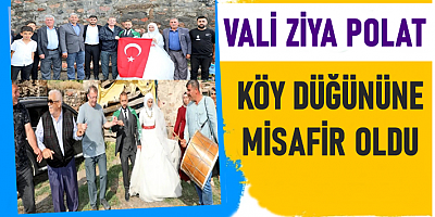 VALİ ZİYA POLAT KÖY DÜĞÜNÜNE MİSAFİR OLDU