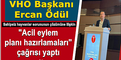 VHO Başkanı Ercan Ödül 