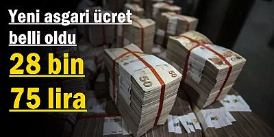 Yeni asgari ücret belli oldu