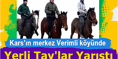 Yerli Tay'lar Yarıştı