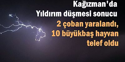 YILDIRIM DÜŞMESİ SONUCU 2 ÇOBAN YARALANDI