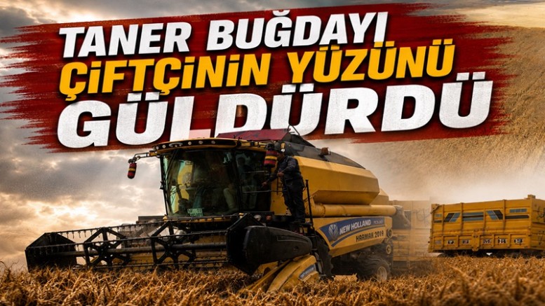 Taner Buğdayı Çiftçinin Yüzünü Güldürdü