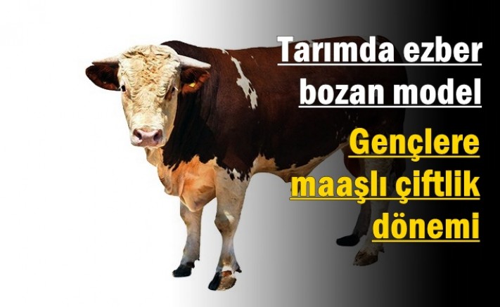 Tarımda ezber bozan model: Gençlere maaşlı çiftlik dönemi
