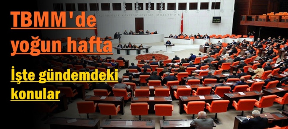 TBMM'de yoğun hafta: İşte gündemdeki konular