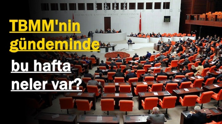 TBMM'nin gündeminde bu hafta neler var?