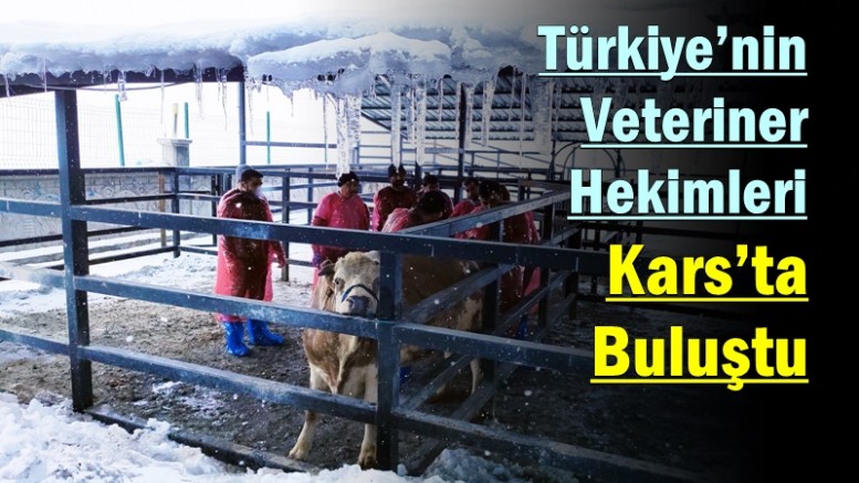 Türkiye’nin Veteriner Hekimleri Kars’ta Buluştu